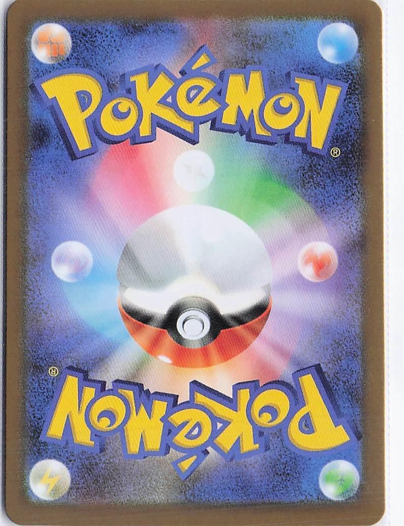 Mega Camerupt ex 013/063 - Image 2